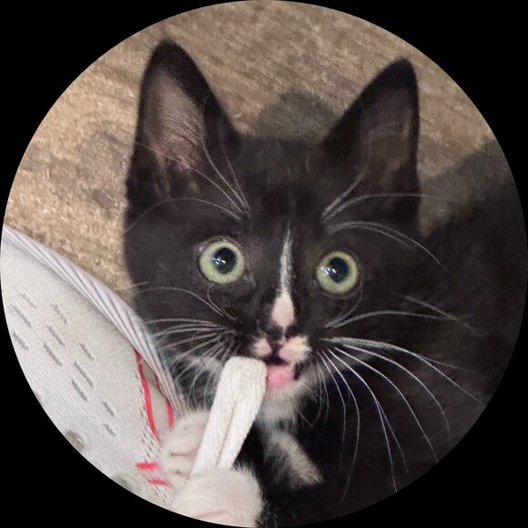 katjune5